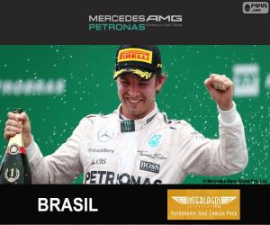 yapboz Rosberg 2015 Brezilya Grand Prix